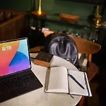 New Slytherin Studio - Dogs Ok